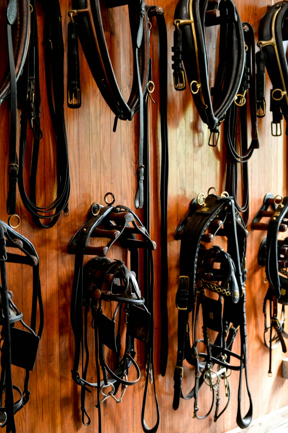 Arneses y bridas de cuero para caballos colgados en una pared de madera.